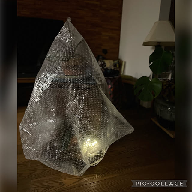buchiさんの実例写真