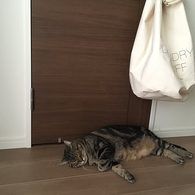 mikomaruさんの実例写真