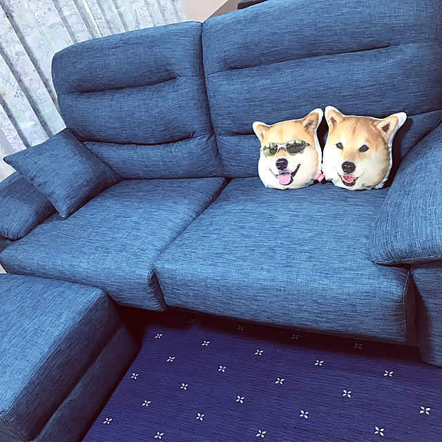 syrinxさんの実例写真
