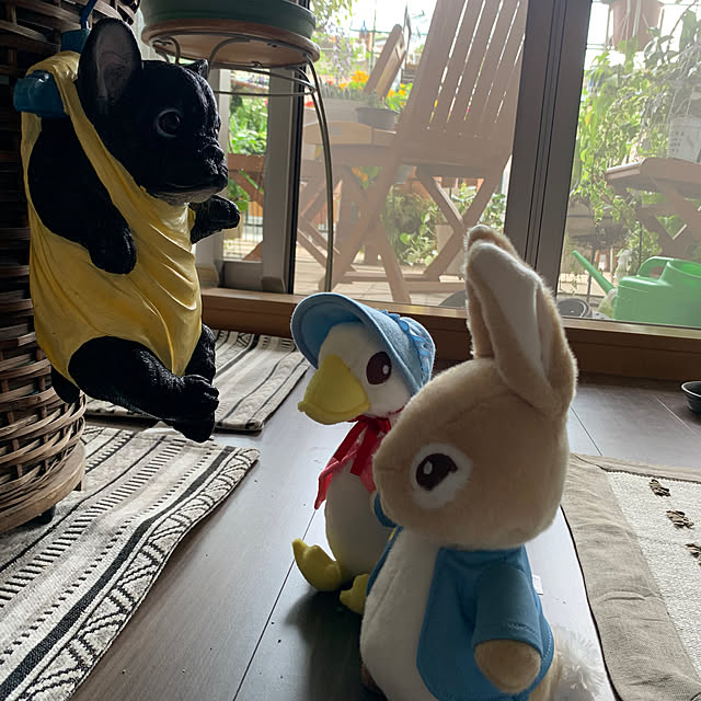 Aqettyさんの部屋