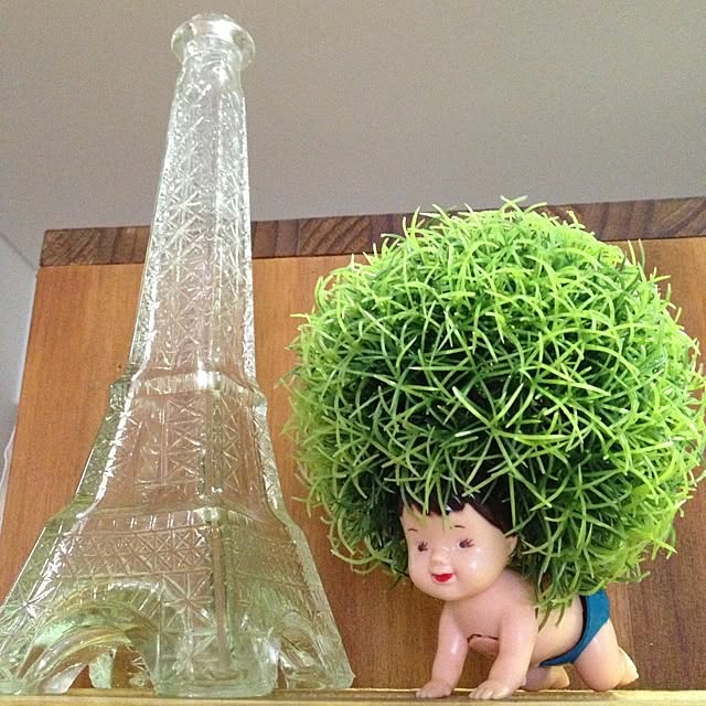 mikimaruさんの実例写真