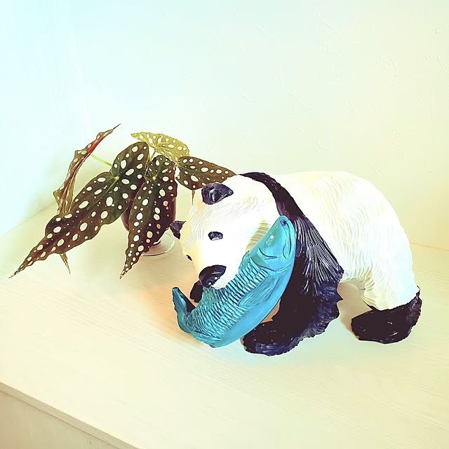 rimoleoさんの実例写真