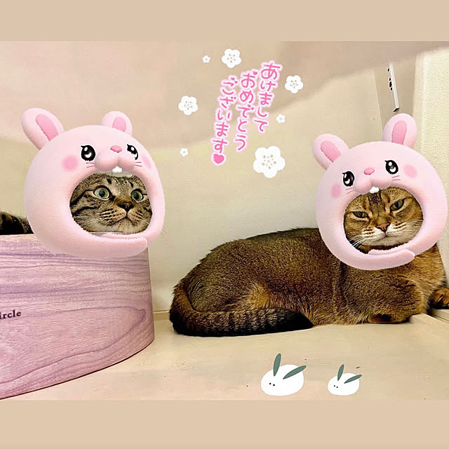 myuさんの実例写真