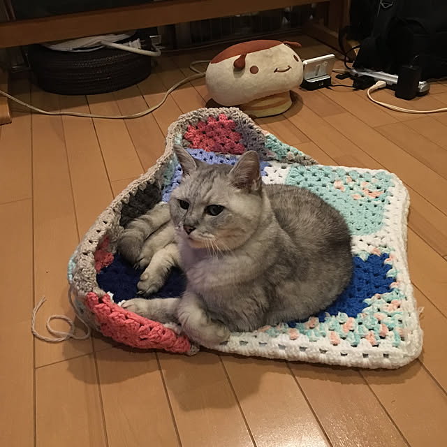 kou-kitiさんの実例写真