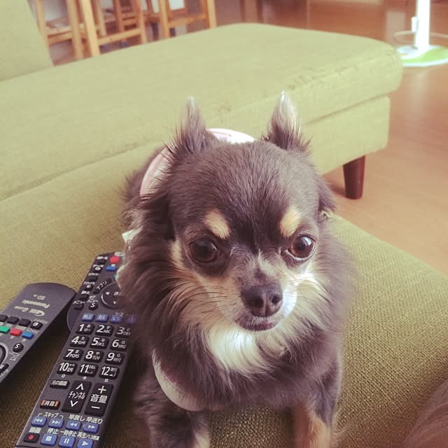 yu_no_さんの実例写真