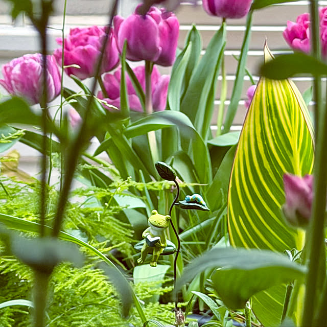 DAYONEさんの実例写真