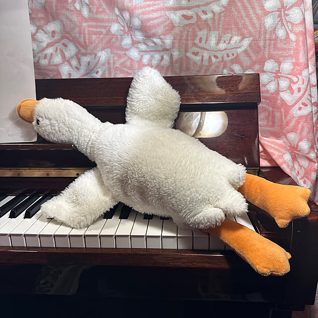 Gigiさんの実例写真