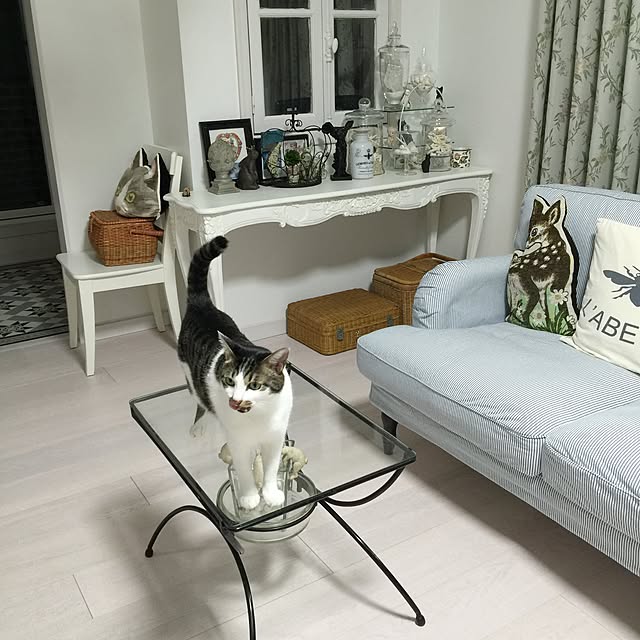 yuchiさんの実例写真