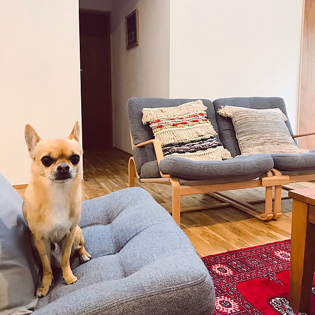 mkjさんの実例写真