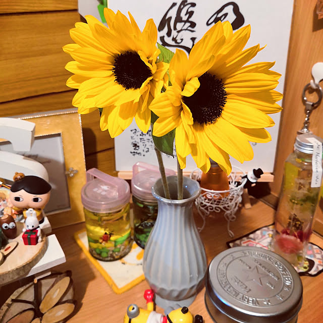 yuukiさんの実例写真