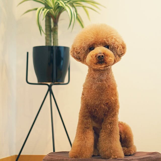 reiさんの実例写真