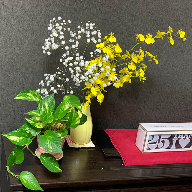 観葉植物/部屋全体のインテリア実例 - 2019-11-04 20:10:17