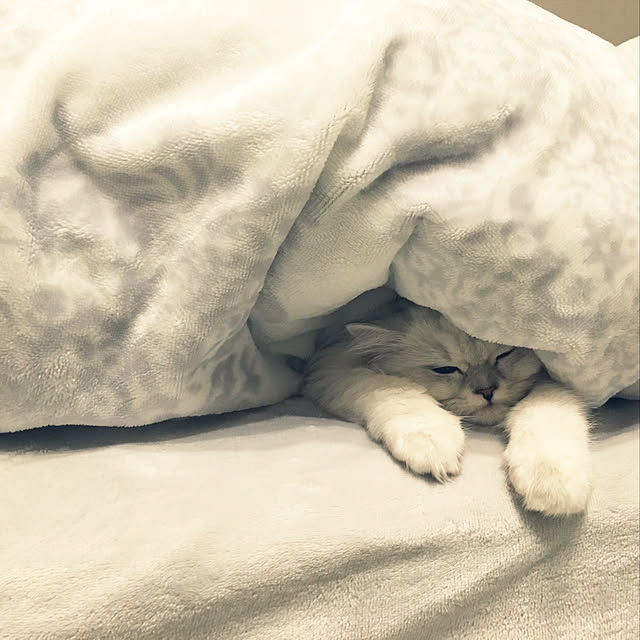 Natsuさんの実例写真