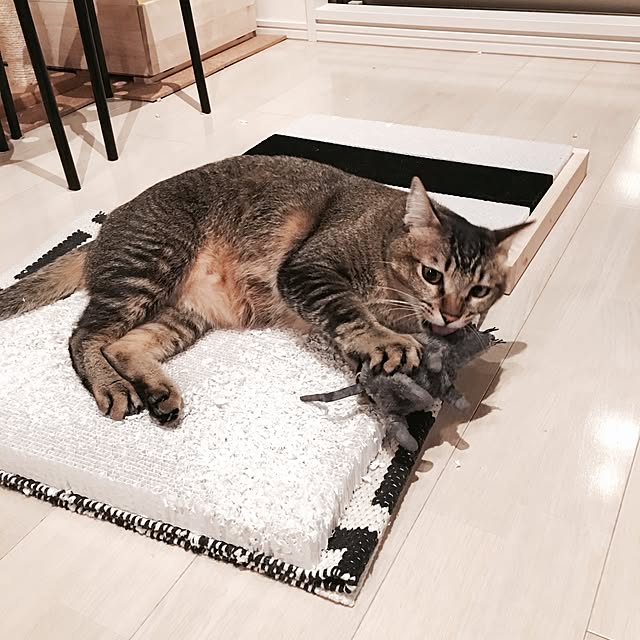 Reikoさんの実例写真
