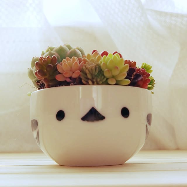 sumomoさんの実例写真