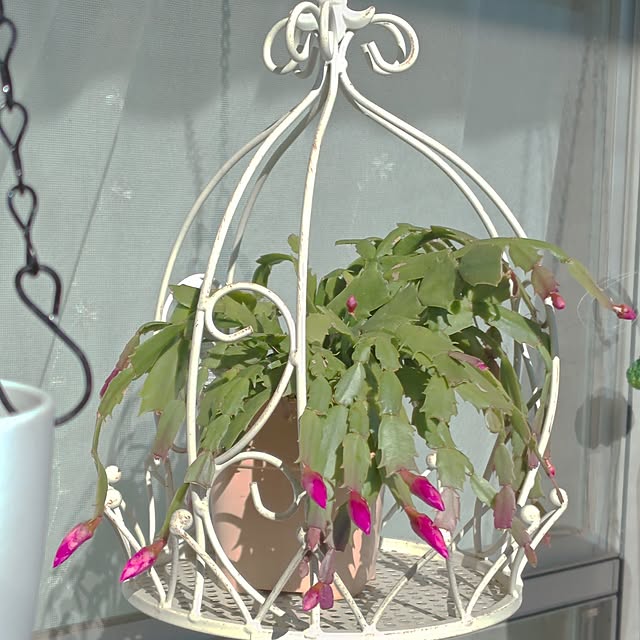 mariaさんの実例写真