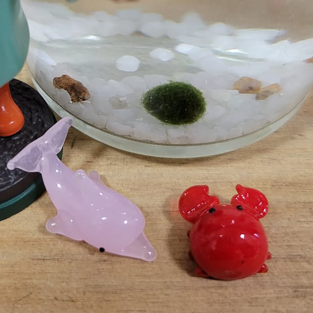 ANTENNAさんの部屋