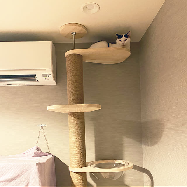 wakooさんの実例写真