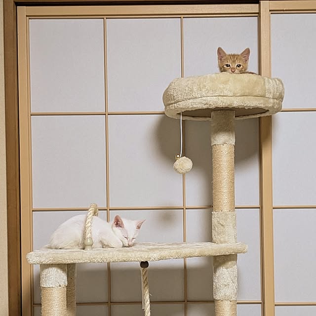 emyさんの部屋