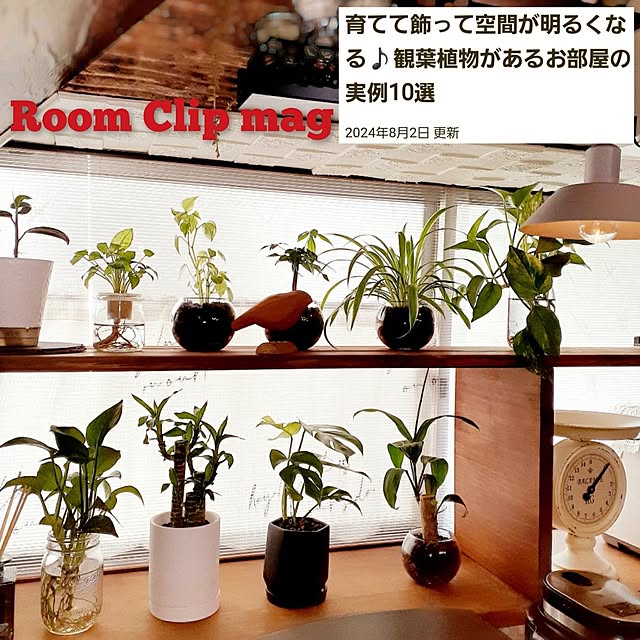 naoporonさんの部屋
