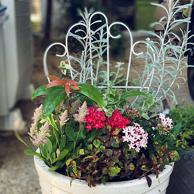 yukarin-gardenさんの実例写真