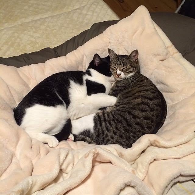 takammyさんの実例写真