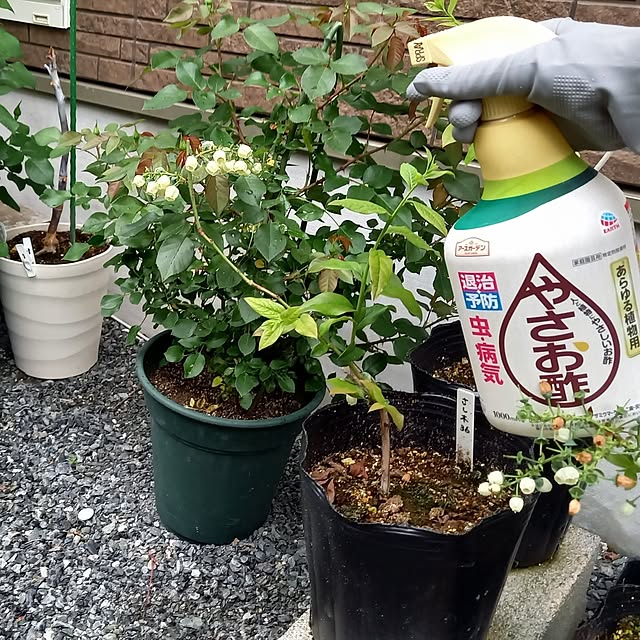 civicglさんの実例写真