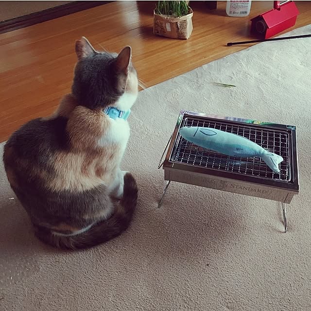 fukuさんの実例写真