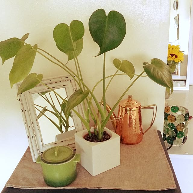 tgcさんの実例写真