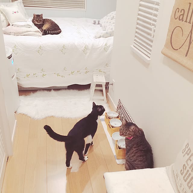 lovecatさんの実例写真