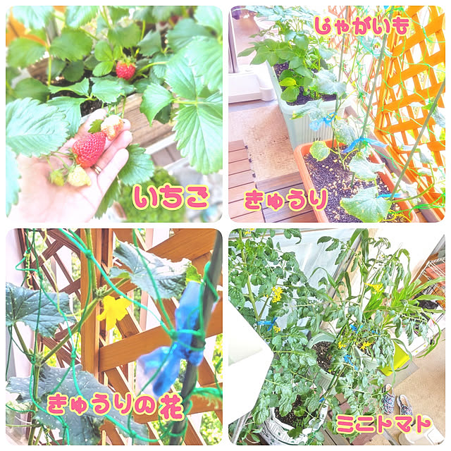 mariaさんの実例写真