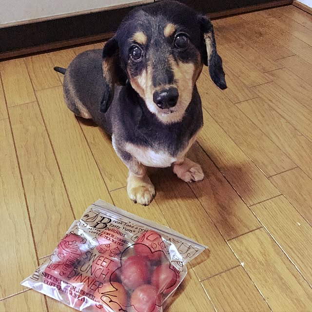 ohanaさんの実例写真
