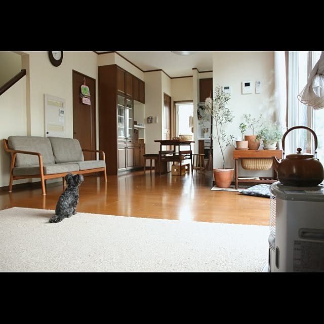 kurumin5さんの実例写真