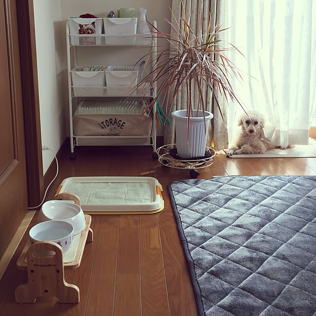Junran50さんの実例写真