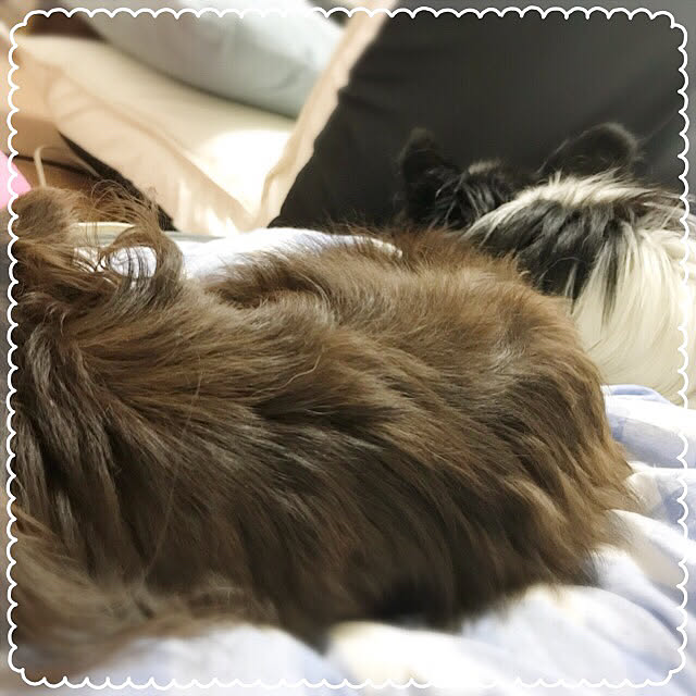 Ayaさんの実例写真