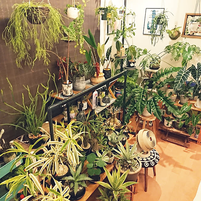 ot-gardenさんの実例写真