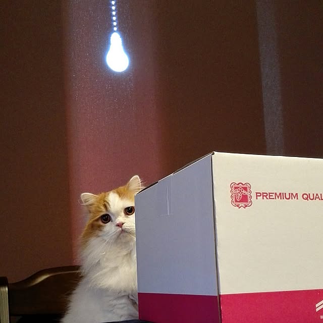 1ldksさんの実例写真