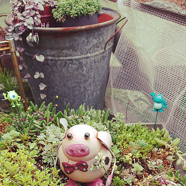 raiさんの実例写真