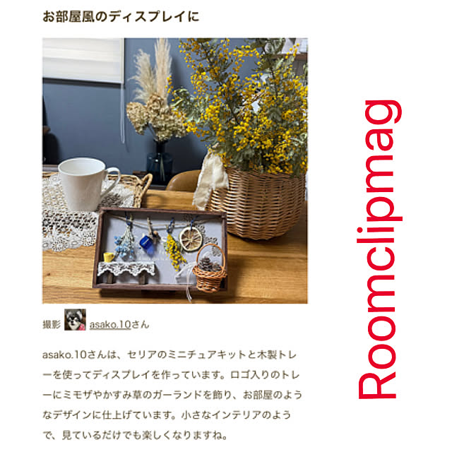実例写真