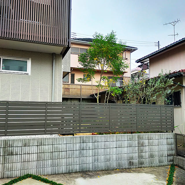 masaさんの実例写真
