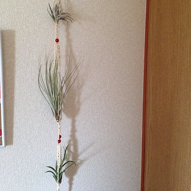 masumiさんの実例写真