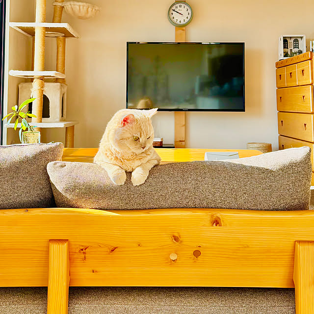 naokoさんの部屋