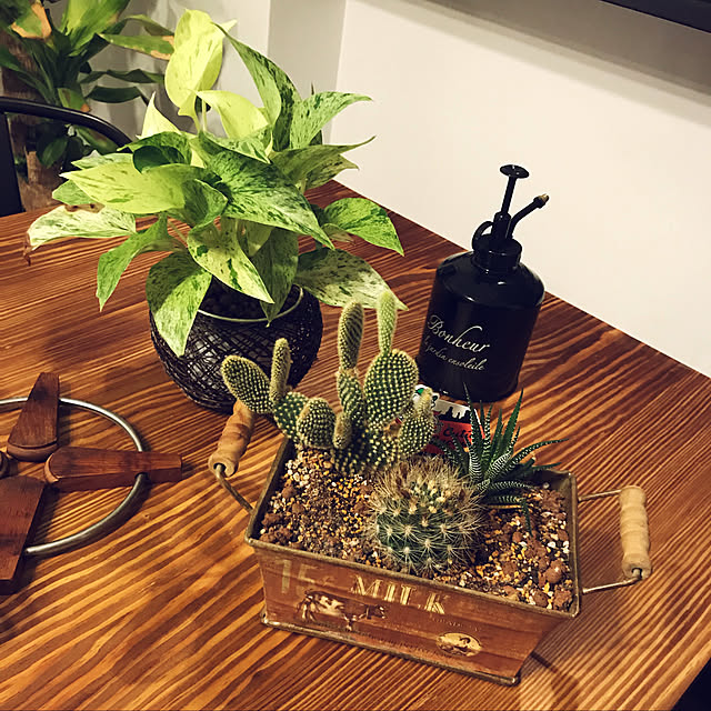 n.yasuさんの実例写真