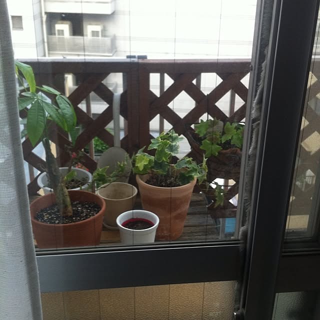 Rieさんの実例写真