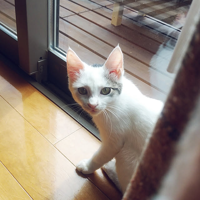 annさんの実例写真