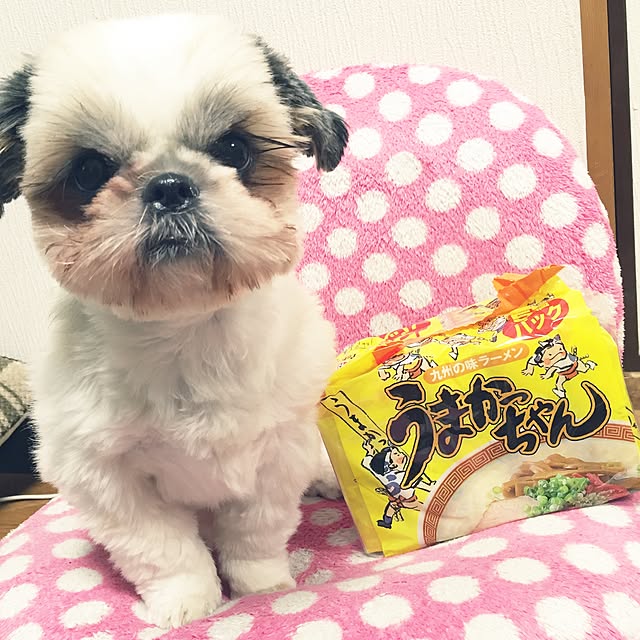 Kanamiさんの実例写真