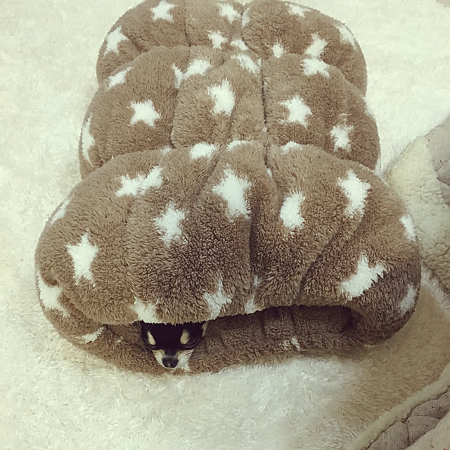 POMAさんの実例写真