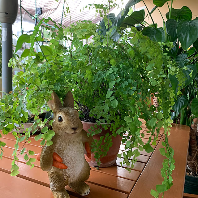 Aqettyさんの部屋