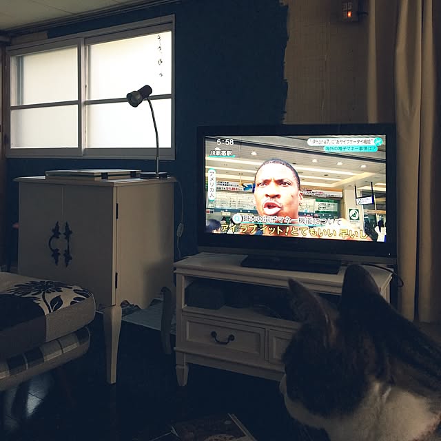 Shihoさんの実例写真