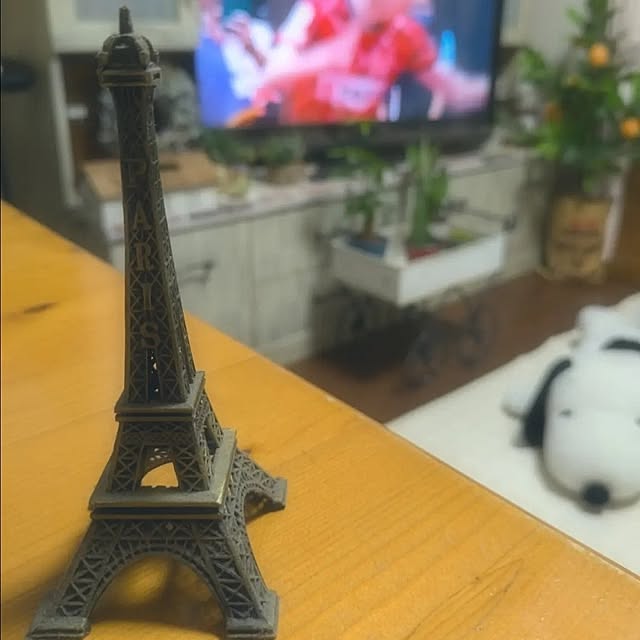 harumoeさんの実例写真